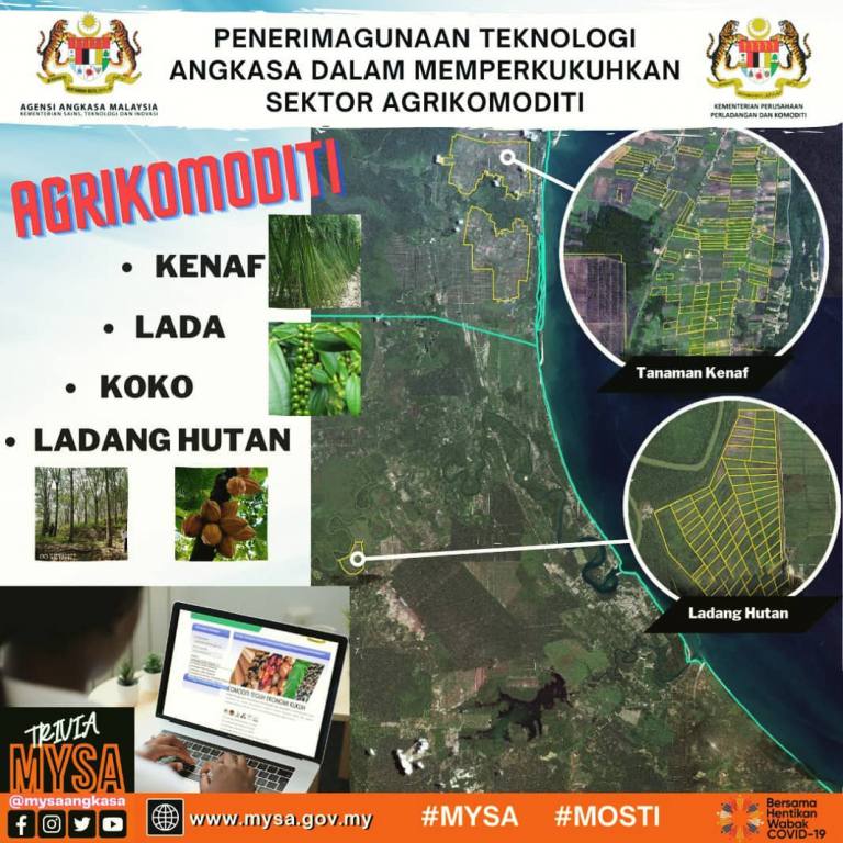 INFOGRAFIK82