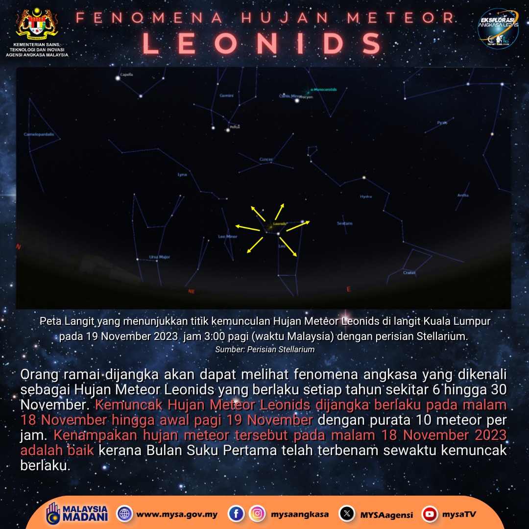 meteor leonids