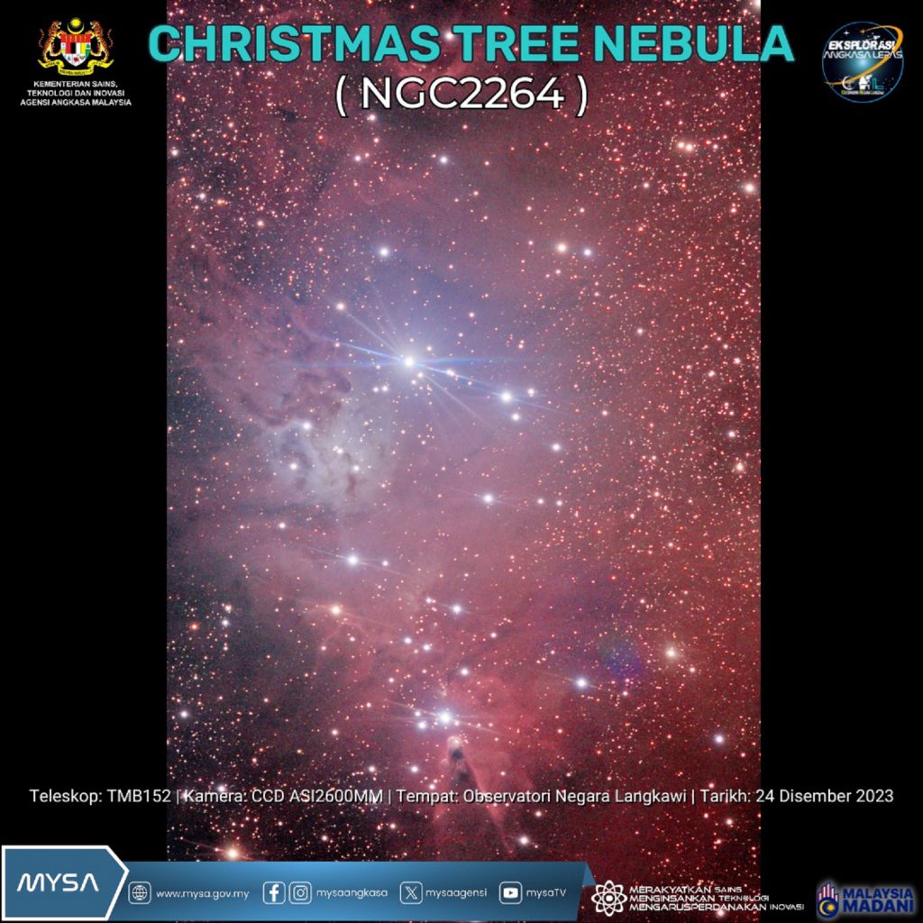 TM CHRISTMAS TREE NEBULA